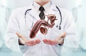 Comment augmenter le volume du pénis sans chirurgie : méthodes naturelles et puissantes révélées par le marabout Mamadou Coulibaly